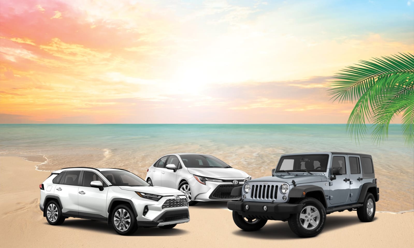 Car Rental
