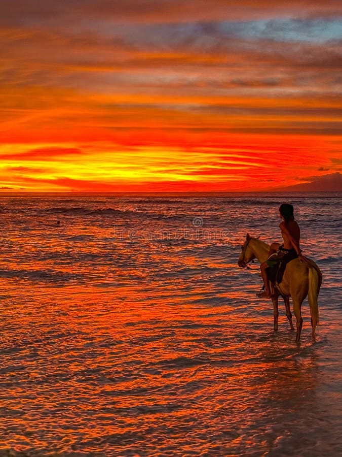 Horse Riding