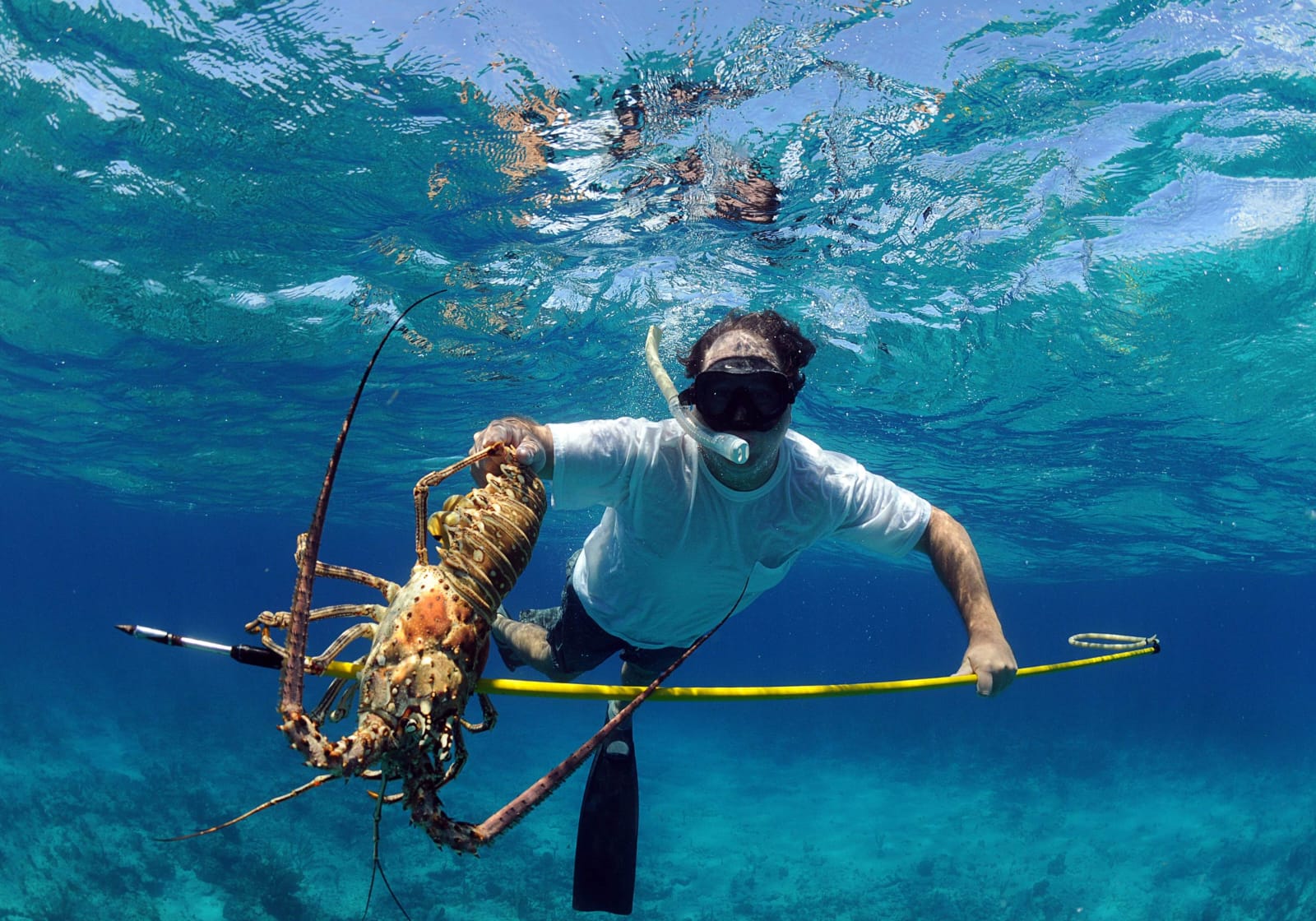 Spearfishing